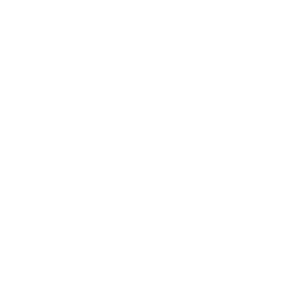 Google Icon