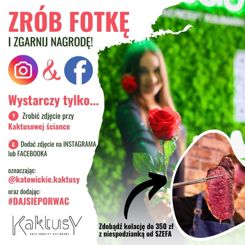 kaktusy posty kaktusy posty